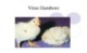 Bài giảng Virus học thú y: Virus Gumboro - PGS.TS. Nguyễn Bá Hiên