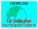 Bài giảng Luật Hình sự Việt Nam: Chương 22 - ThS. Trần Đức Thìn