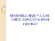 Bài giảng Khoa học đất cơ bản (Basic of Soil Science) - Bài 7: Các tính chất sinh học của đất