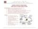 Bài giảng Bệnh lý học: Những vấn đề cơ bản trong bệnh sinh các bệnh nhiễm trùng - ThS.BS. Nguyễn Phúc Học