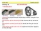Bài giảng môn học Cơ học máy: Chương 10 - TS. Phan Tấn Hùng