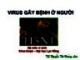 Bài giảng Virus gây bệnh ở người - TS. Nguyễn Thị Hoàng Lan