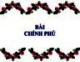 Bài giảng Luật hiến pháp Việt Nam: Bài 8 - ThS. Phan Nguyễn Phương Thảo
