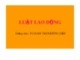 Bài giảng Luật lao động: Bài 1 - TS. Đoàn Thị Phương Diệp